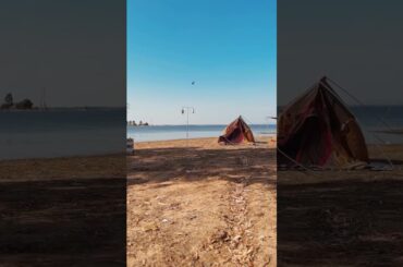 MINI ✨magic✨ is a real thing!