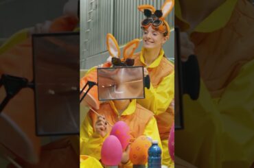 Easter preparations. ✨