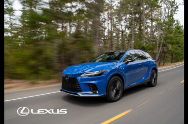 Lexus | The Difference is You