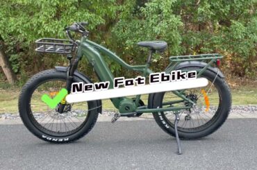 1000W Powerful Fat Ebike with Bafang Mid Motor