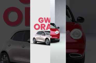 GWM Ora 03