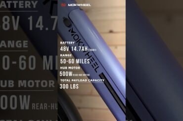 Asphalt ST:Step-Thru Commuter E-bike