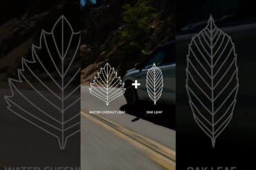 Nature’s a part of who we are. Let’s all work together to conserve it. Happy Earth Day! #EarthDay