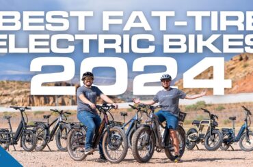 Best Fat Tire Electric Bikes 2024 | Top 20 Fat Bikes, Each Tested & Reviewed