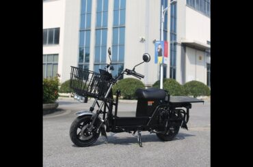 2024 China factory best seller cargo electric motorcycles-D1