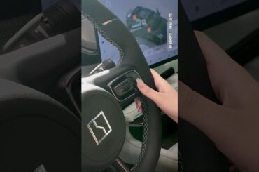 The New 2024 Geely ZEEKR 001 EV #shorts