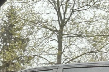 They must’ve been hungry…or…?