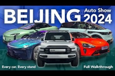 2.5 hour walkthrough of the Shanghai autoshow with good commentary showing the ridiculous amount of different EVs available in China