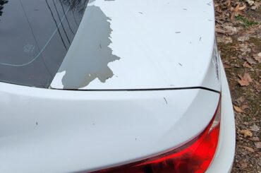 Anyone know the beat way to fix this myself?