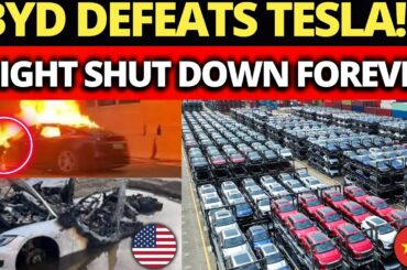 China’s Tesla Killer: BYD Is TAKING OVER the Electric Car Market