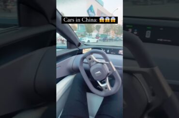 Tesla VS Chinese EV