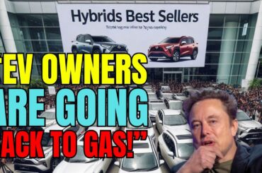 Had Enough: EV Owners Reveal Shocking Crash Statistics! Electric Vehicles Owners Back To Gas!