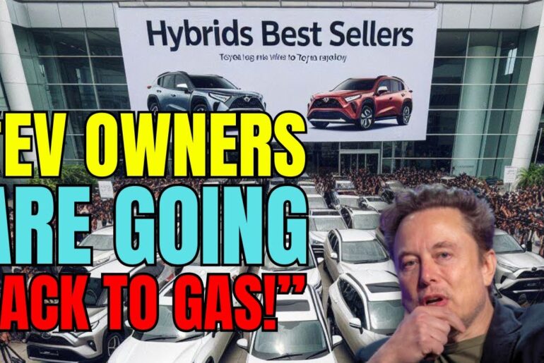 Had Enough: EV Owners Reveal Shocking Crash Statistics! Electric Vehicles Owners Back To Gas!