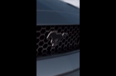 Art of Performance: The 2025 Ford MustangⓇ GTD
