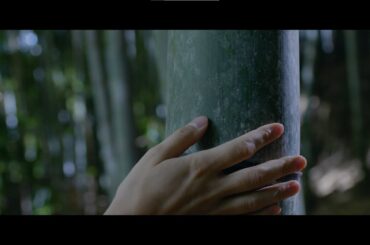 Lexus | The Story of Bamboo