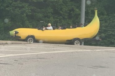Saw this in northwest Arkansas, near Bentonville.