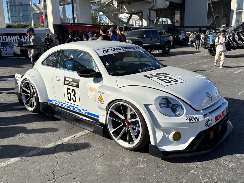 A pretty cool Beetle