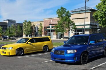 Wagons Out In Colorado