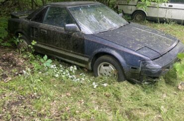 hey guys here’s my newest project!