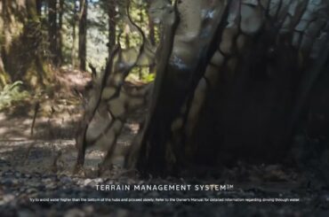 2024 Ford Explorer Walkaround | Performance