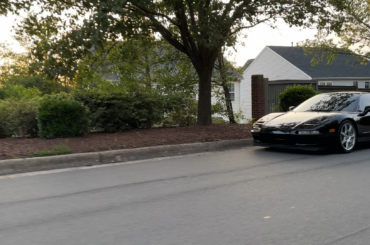 So many in their natural environment 👀