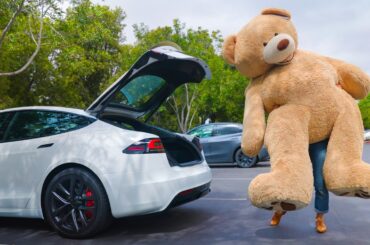 Hands-Free Trunk vs Teddy Bear