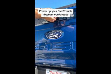 Hybrid, electric or gas, Ford® gives you the freedom to choose in a lineup made to do.