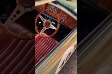 Small car, big adventures. 🗺️