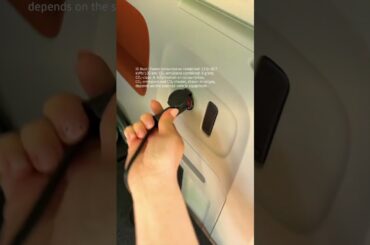 Festival season is here!