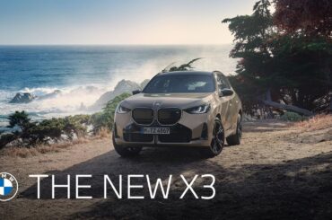 The new BMW X3