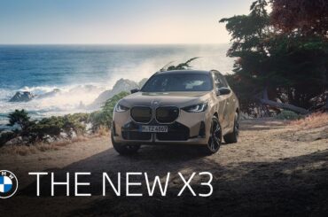 The new BMW X3