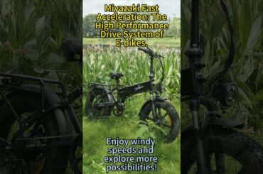 Miyazaki Fast Acceleration: The High Performance Drive System of E-bikes. #ebike #MiyazakiR7Pro