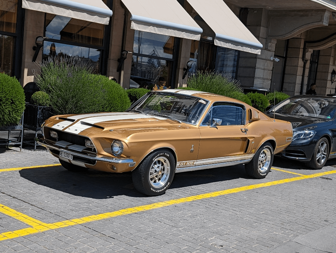 [Shelby Cobra GT500] EVSHIFT