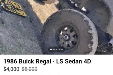 I want i want i want