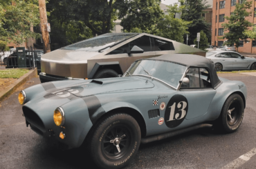 Oppotunity shot.      Yin/Yang