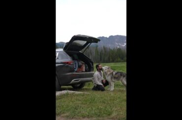 A trip to the mountains with the Outlander Plug-in Hybrid & @LokitheWolfdog  ⛰️