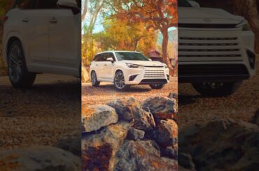 The #LexusTX with a little pumpkin spice. Is it giving fall? Is it giving thanks? #Thanksgiving