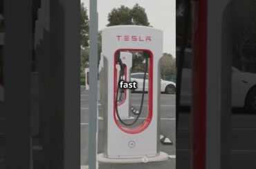 Plug in Hybrid vs Electric What’s The Best Choice For You #shorts #foryou #2024 #hybrid #electric