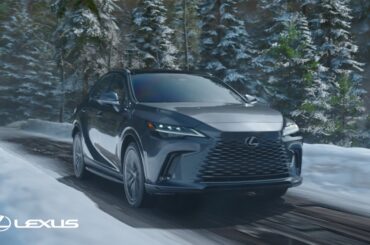 2024 December to Remember: Letter | Lexus