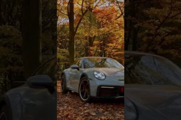 The best season #shorts