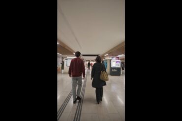 it’s time to bring the great outdoors inside #Renault4 #ETech 100% #electric