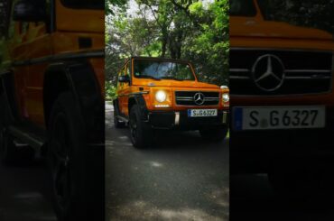 Main character moment 🧡 🧡 🧡 | #shorts