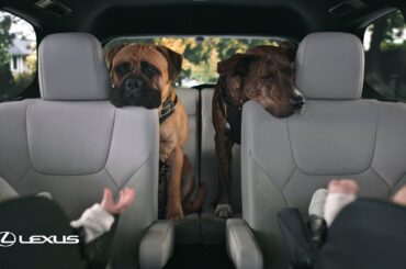 The Lexus TX: New Baby On Board | Lexus