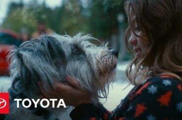 Toyotathon | Real Reward | Toyota