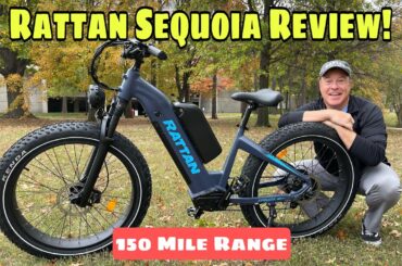 A Torque Sensor Ebike For Less Than $1500!! Complete Rattan Sequoia Electric Bike Review!