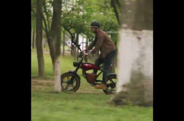 Hidoes B10 Fat Tire Electric Bike - 1000W Fashion E-bike adults, Cowboy 2024 #automobile #ebike