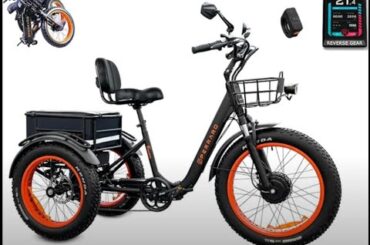 Older, trouble walking? Buy an Electric  #TRIKE  Three Wheel Bike   #TRIKE #PELLARO #BIKE