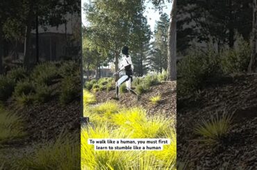 Optimus learning to stumble