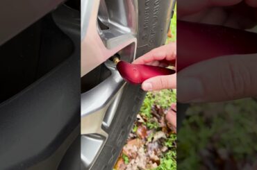 Winter Off-Roading Safety