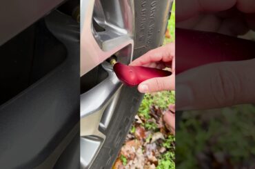 Sécurité hors route en hiver